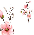 Magnolie LUX růžová s květy a poupaty - 100 cm