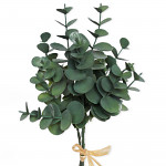 Eukalyptus zelený svazek - 30 cm