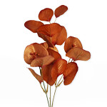 Eukalyptus podzimní 36 cm - hnědý