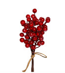 Ledové jeřabiny červené - zápich 20 cm