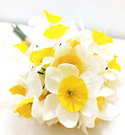 Narcis svazek  33 cm -  bílo - žlutý