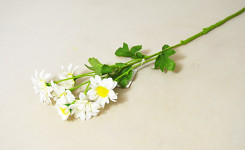 Kopretiny 5 květů bílá - 50 cm
