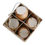 Skořápka hnědá závěs - 6 cm Skořápka hnědá závěs - 6 cm