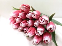 Tulipán umělý - červeno-bílý