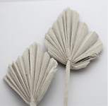 Palmový list (palm spear) - flocking bílý - 50 cm