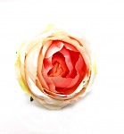 Hlavička růže Oregon - lososová