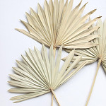 Palmový list (palm sun spear) - natur - 50 cm