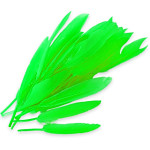 Peříčka - brka zelená - 25 ks