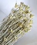 Nigela (černucha orientální) sušená 30 g  