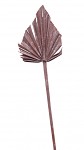 Palmový list (palm spear) - hnědá pudrová - 55 cm