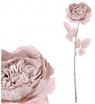 Anglická růže ojínělá - sv.hnědá - 51 cm 