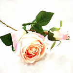 Růže Velvet s poupětem růžovo-lososová - 46 cm