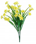 Narcisky mini trs - žlutý
