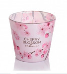 Vonná svíčka ve skle 115 g - třešňový květ - sakura pink