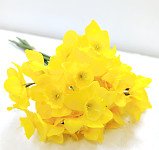 Narcis svazek  33 cm - žlutý
