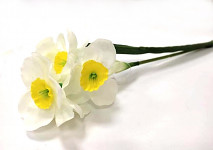 Narcis se 3 květy 40 cm - bílo-žlutý