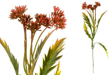 Kalanchoe zápich 35 cm  - oranžovočervená