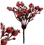 Jeřabiny frost 16 cm - červené