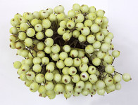 Bobulky ledové svazek - 20 ks - krémové Bobulky ledové svazek - 20 ks - krémové