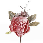 Růže čajová starorůžová se sněhem - 26 cm 