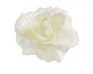 Hlavičky růží - ivory - 10 cm