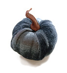 Dýně sametová šedá - 6 cm - 1ks