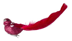 Ptáček s peřím na klipu - červený - 16 cm 