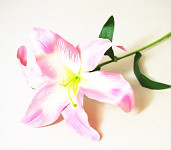 Lilie stvol 61 cm - růžovo-fialová