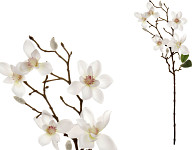 Magnolie stvol s pupeny 63 cm - bílá