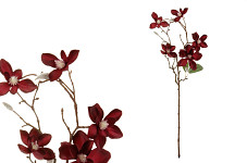 Magnolie stvol s pupeny 63 cm - bordó