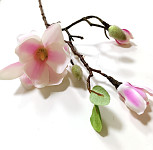 Magnolie stvol s pupeny 63 cm - tm. růžová