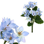 Plamenka modrá kytice - 29 cm