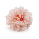 Květ jiřiny 11 cm - růžovo - krémový