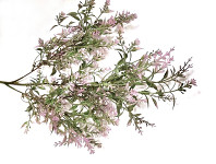 Vrbina zápich 75 cm -  zeleno - fialová