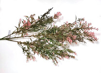 Vrbina zápich 75 cm - zeleno - růžová