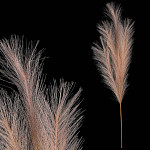 Umělá pampová tráva - káva - 74 cm