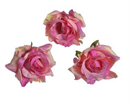 Hlavičky poupat růží - mini rozvité - růžovo - krémové