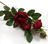 Růže planá 50 cm - červená