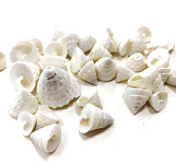 Mušle bílé perleťové - 50 g  