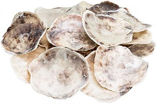Mušle capiz natural - 220 g