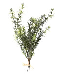 Umělé bylinky - rozmarýn 3 ks - 29 cm