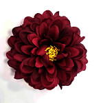 Květ jiřiny 11 cm - bordó