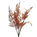 Kapradí trs pudrové- 38 cm 