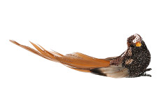 Ptáček hnědý třpytivý 13 cm na klipu