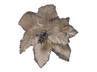 Sametový květ poinsettie 11 cm - champagne s glitry  