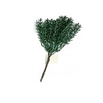 Větvičky túje smaragdová glitter - 15 cm 