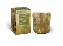 Vonná svíčka s dřevěným knotem 150 g - Golden Ginko - greenery shades