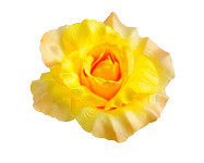Hlavičky růží sytě žluté - 10 cm
