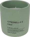Vonná svíčka proti hmyzu v keramice - citronella a máta - 170 g
