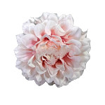 Květ jiřiny 8 cm - pudrově růžová